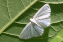 Image 1-8